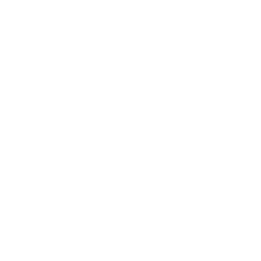 Manuel Silvestri - Tecnico Creativo